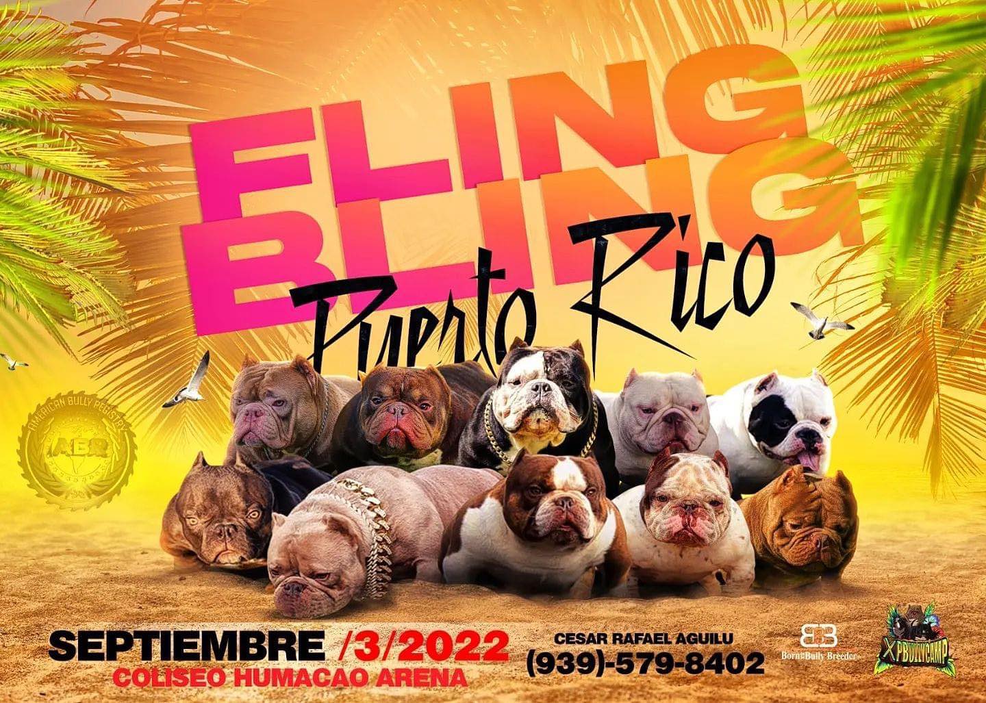 Fling Bling Puerto Rico - Sep 3rd 2022