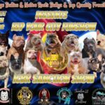 Rep Your City Dog Show - Aug 20th 2022